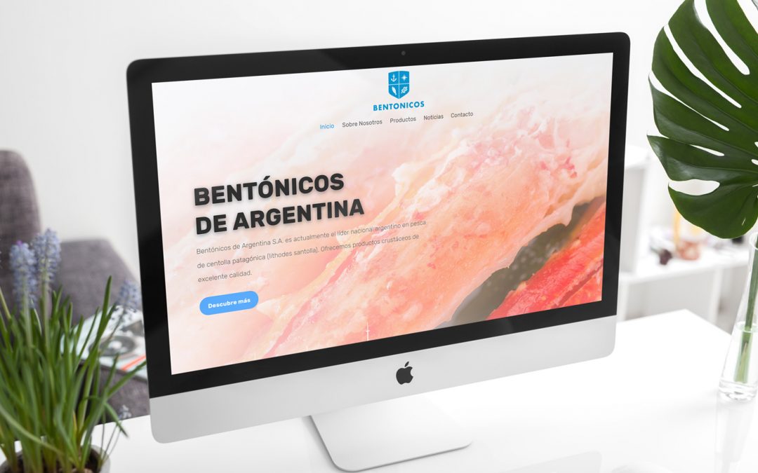 Lanzamiento Nueva Web Bentonicos